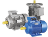 IE2 Series Three-phase Asynchronous Motor & Gear Box